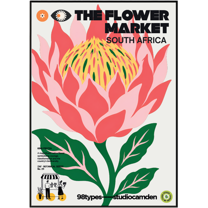 The Flower Market South Africa King Protea botanical poster print UK — national flower Cape Floristic graphic wall art 260gsm printed in England Camden Market
