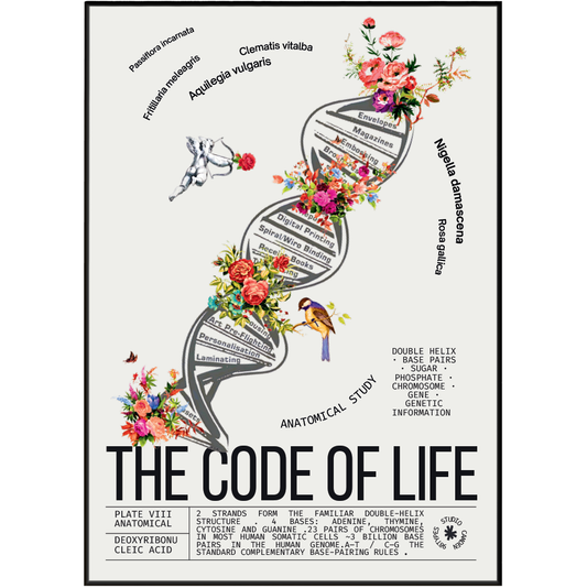 Vintage DNA double helix science print UK — botanical archive dark academia wall art 260gsm museum-grade printed in England Camden Market
