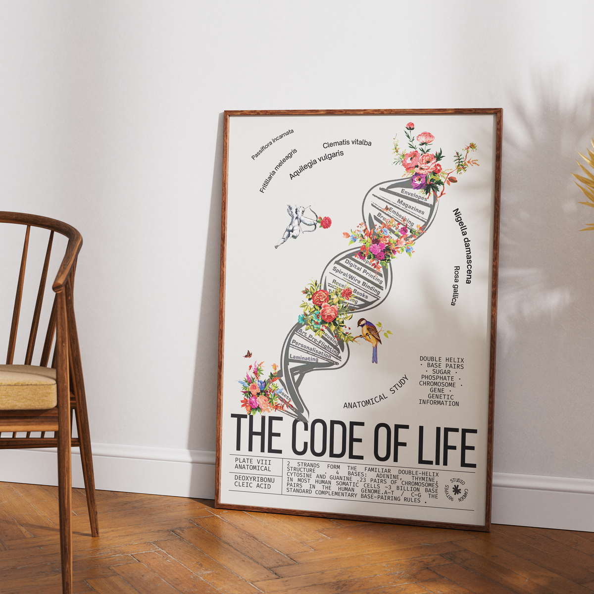 Vintage DNA double helix science print UK — botanical archive dark academia wall art 260gsm museum-grade printed in England Camden Market

