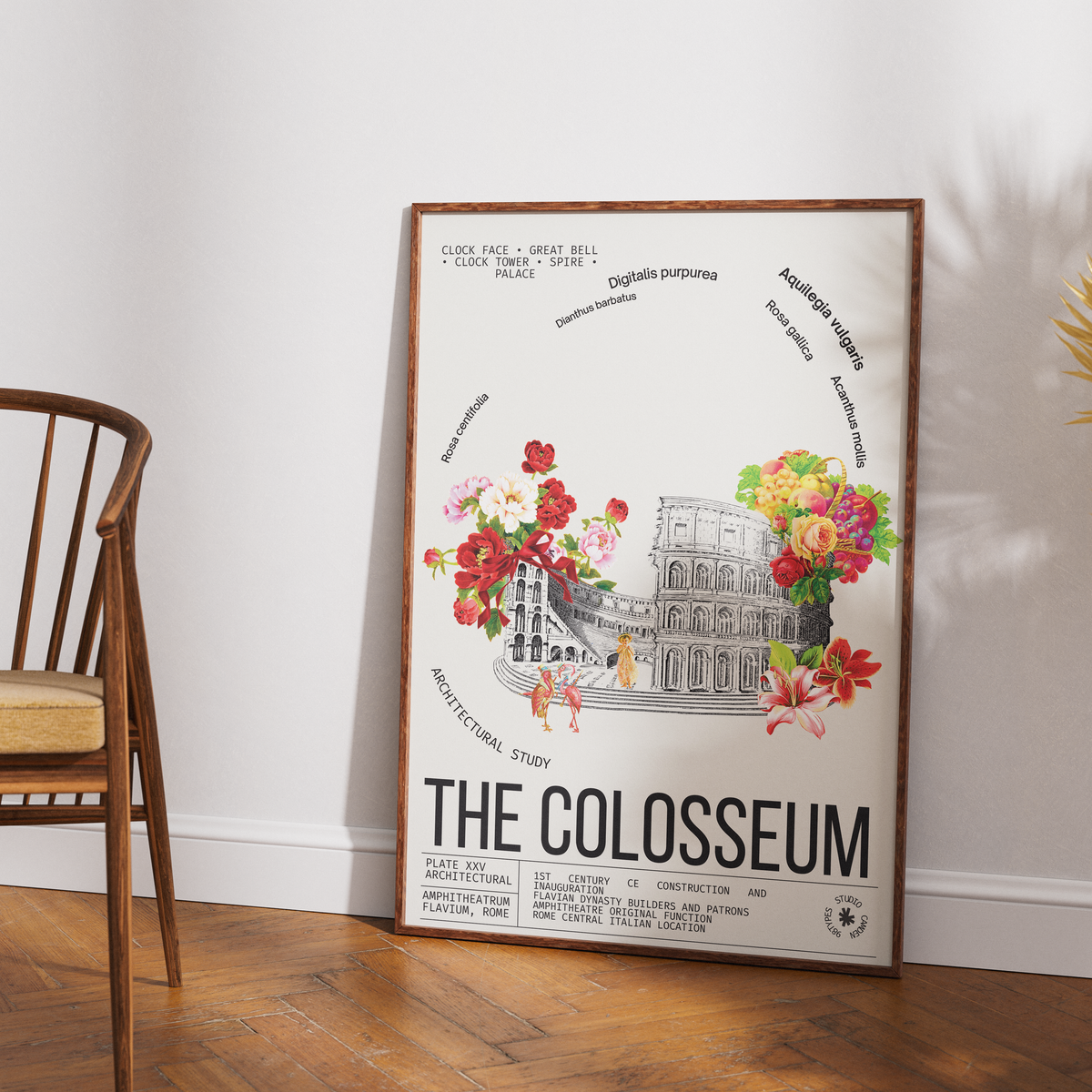 Colosseum Rome vintage botanical archive print UK — Amphitheatrum Flavium landmark wall art 260gsm printed in England Camden Market