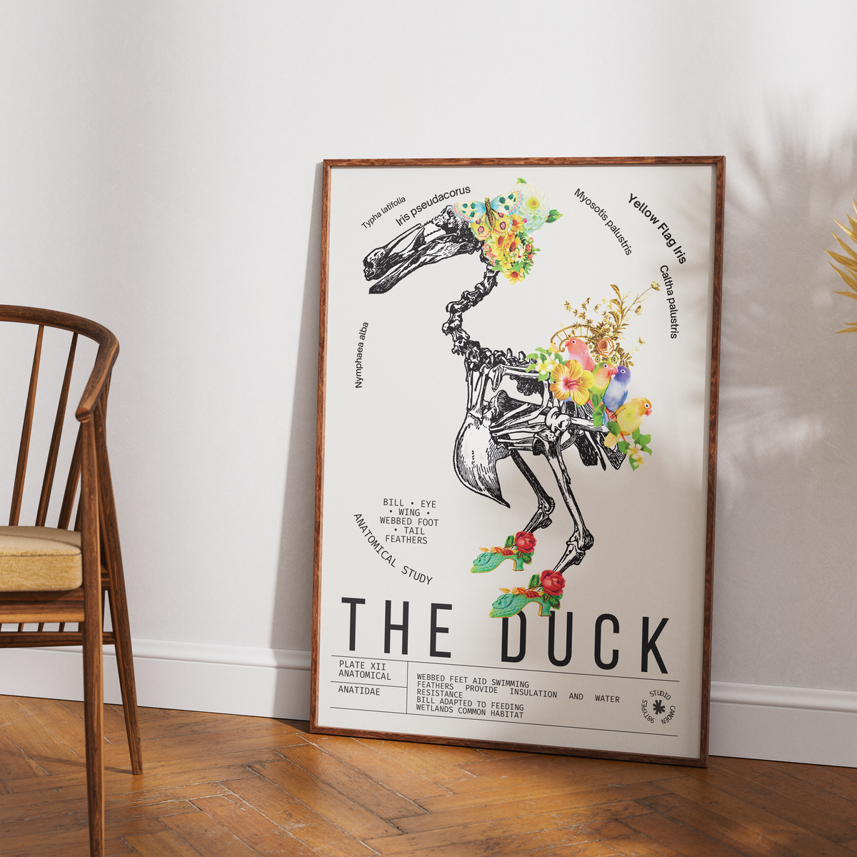 Vintage duck natural history print UK — Anatidae botanical archive wall art 260gsm printed in England Camden Market
