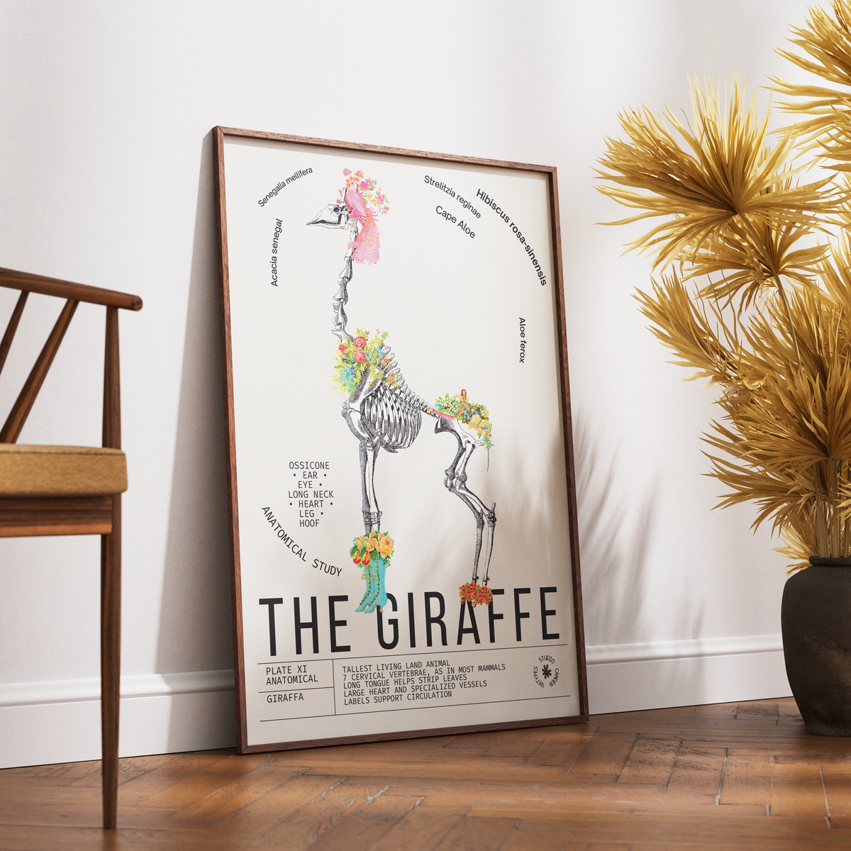 Vintage giraffe zoological archive print UK — Giraffa botanical wall art 260gsm printed in England Camden Market
