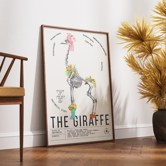 Vintage giraffe zoological archive print UK — Giraffa botanical wall art 260gsm printed in England Camden Market
