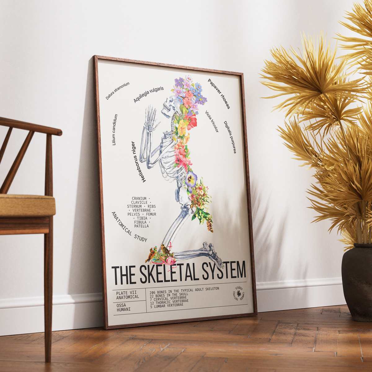 Vintage skeleton anatomy print UK — Ossa Humani Corporis botanical archive dark academia wall art 260gsm printed in England
