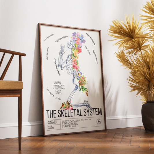 Vintage skeleton anatomy print UK — Ossa Humani Corporis botanical archive dark academia wall art 260gsm printed in England
