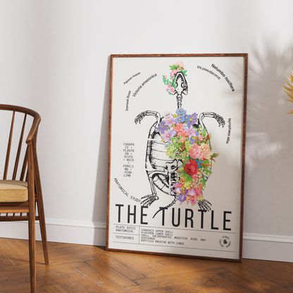 Vintage turtle natural history print UK — Testudines botanical archive wall art 260gsm printed in England Camden Market
