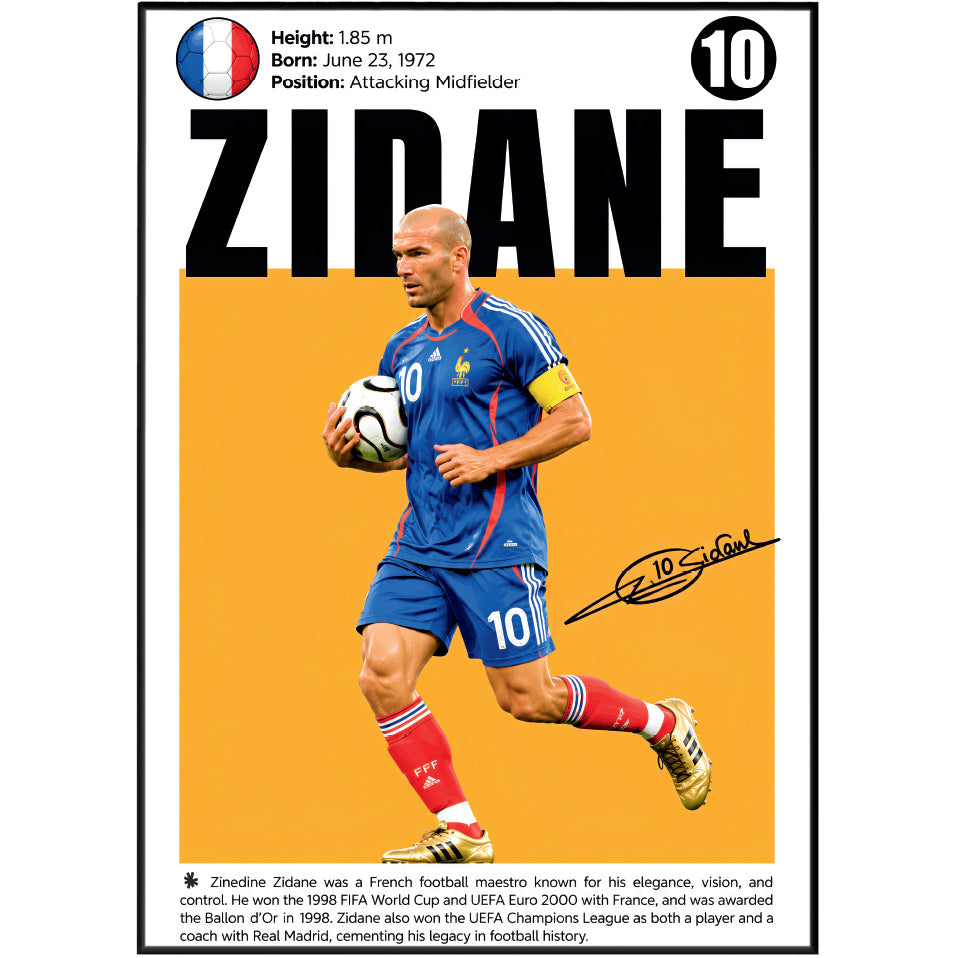 Zinedine Zidane Poster poster print, view 2 – 98types