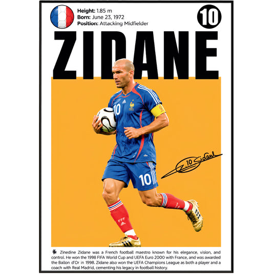 Zinedine Zidane Poster poster print, view 2 – 98types