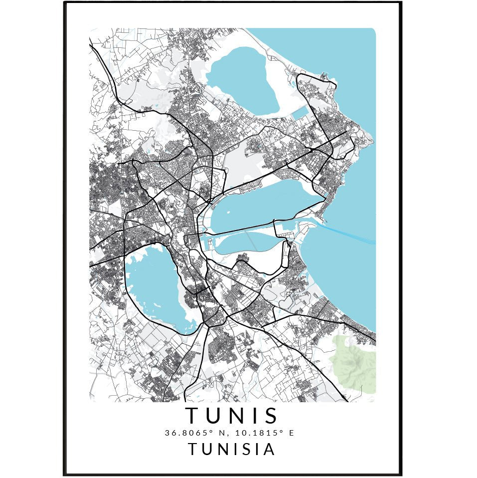 Tunis Tunisia Map Print - 98typesAfrica Maps