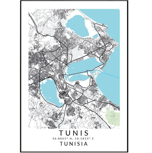 Tunis Tunisia Map Print - 98typesAfrica Maps