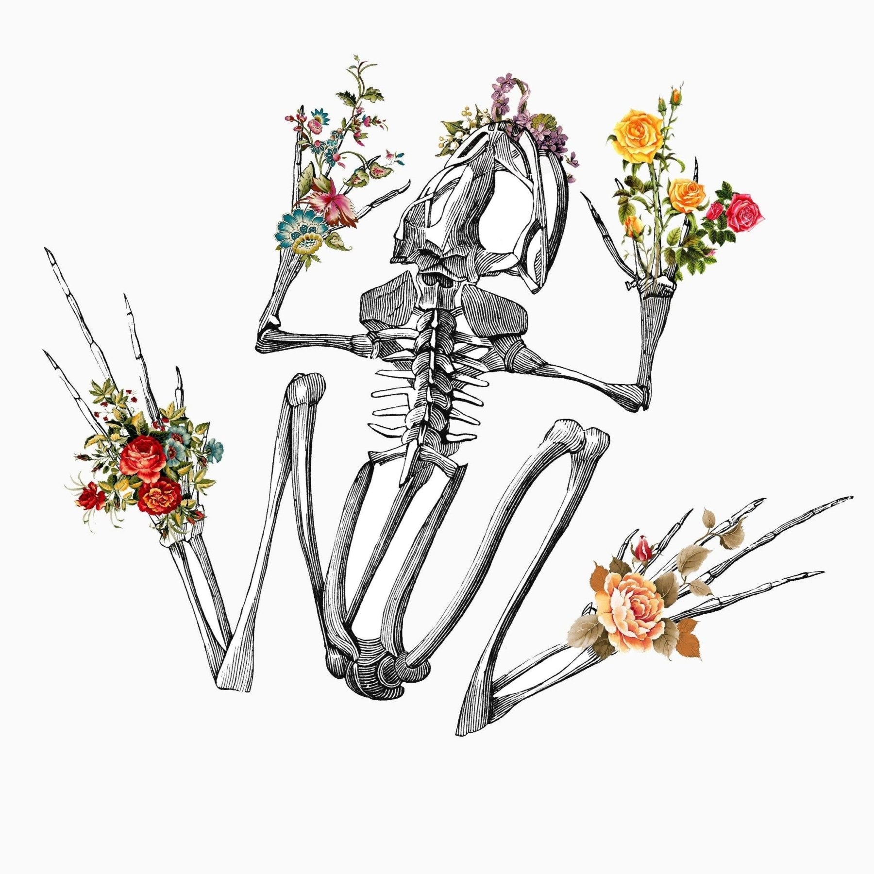 Frog Skeleton Anatomical Flowers Body Print - 98typesBotanical Art Prints