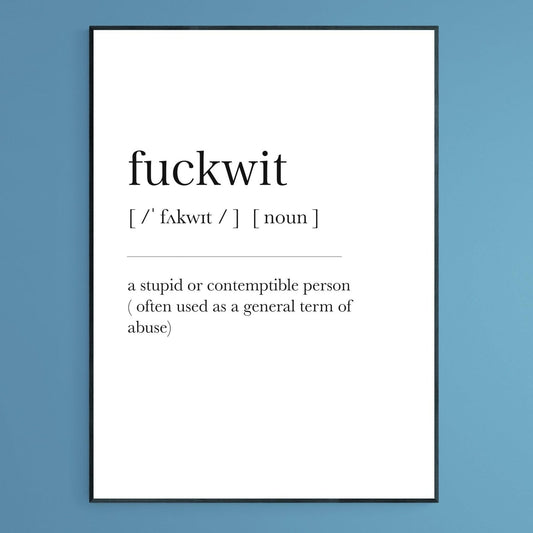 Fuckwit Definition Print - 98typesDefinitions