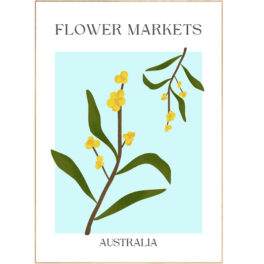 Australia Flowers Market Print - 98typesFlowers Market