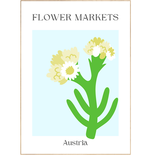 Austria Flowers Market Print - 98typesFlowers Market