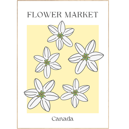 Canada 2 Flowers Market Print - 98typesFlowers Market