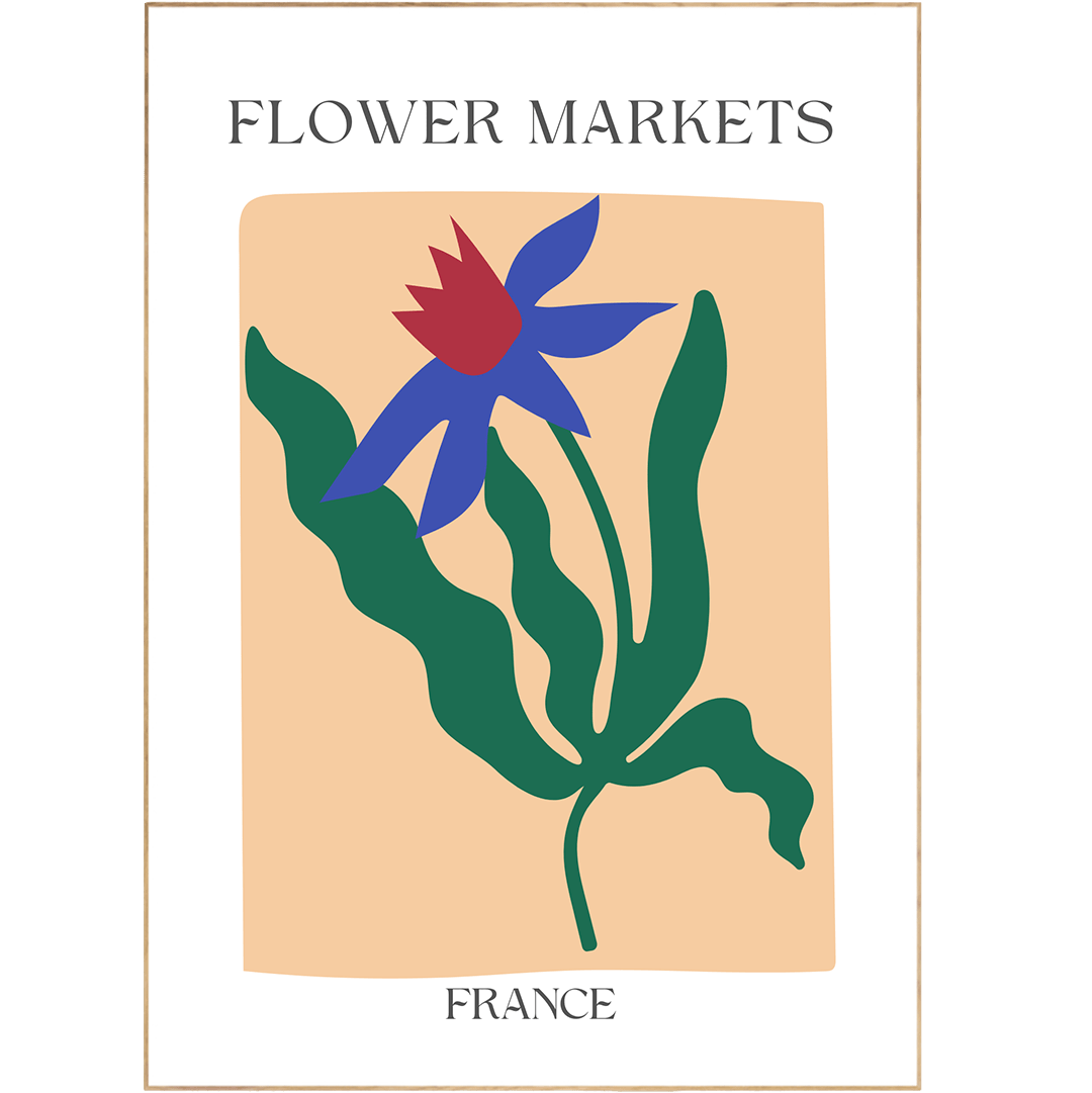 France Flowers Market Print - 98typesFlowers Market