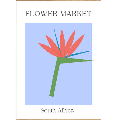 South Africa Flowers Market Print - 98typesFlowers Market