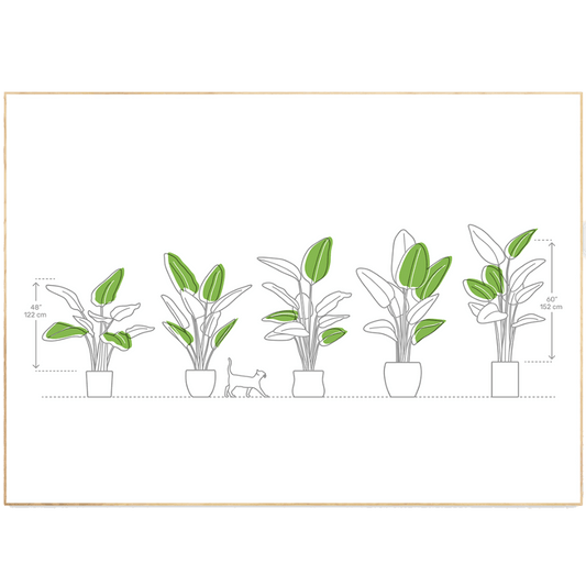 Plants types Line Art Print - 98typesLine Art