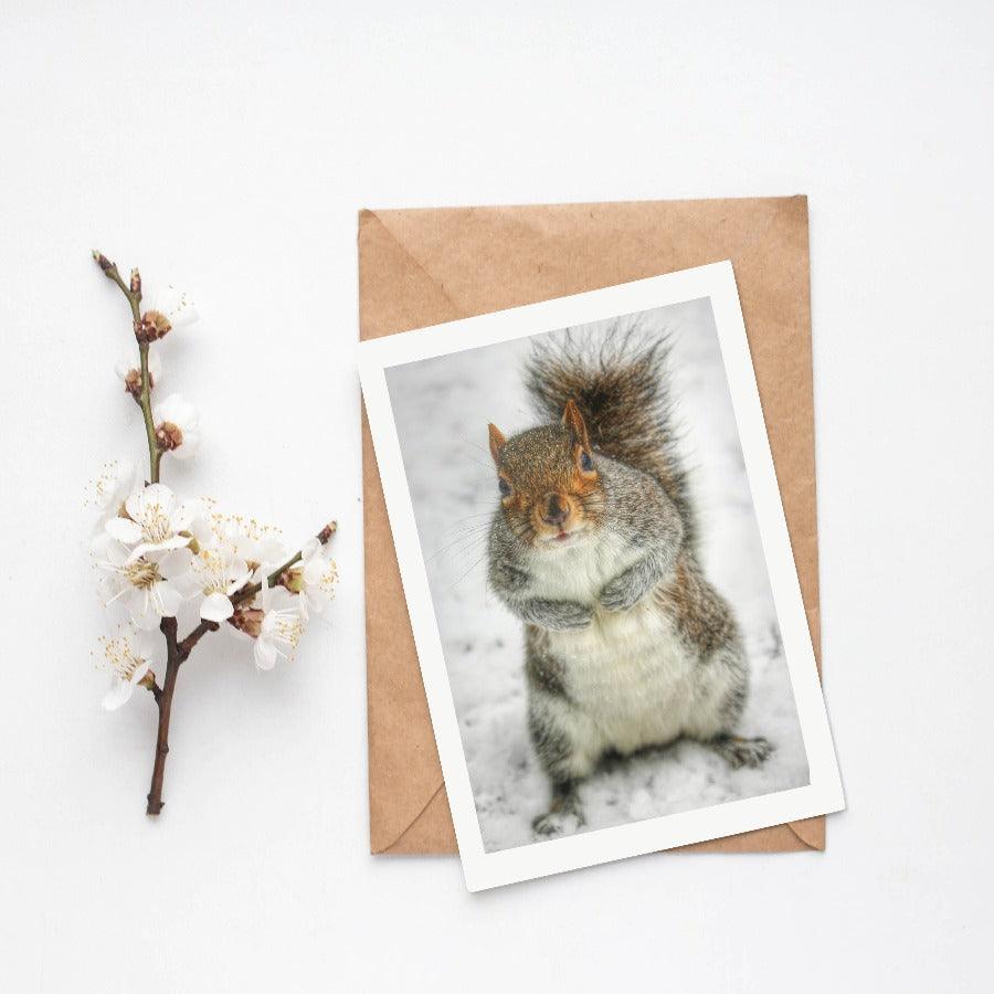 Little Squirrel Winter Hyde Park Poster - 98typesLONDON PHOTOS