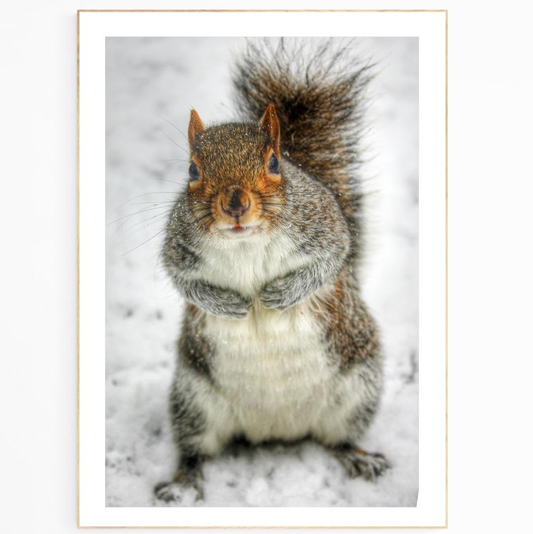 Little Squirrel Winter Hyde Park Poster - 98typesLONDON PHOTOS