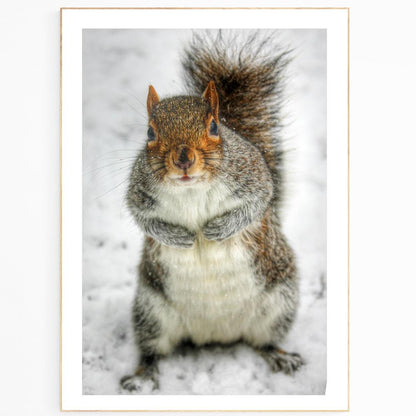 Little Squirrel Winter Hyde Park Poster - 98typesLONDON PHOTOS